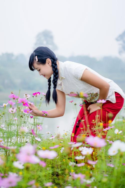 最新黄应用下载界面