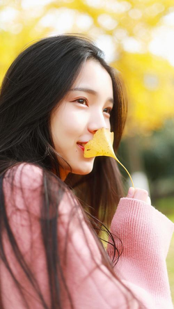 最新黄色播放器功能演示